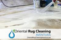 Oriental Rug Cleaning Aventura image 3